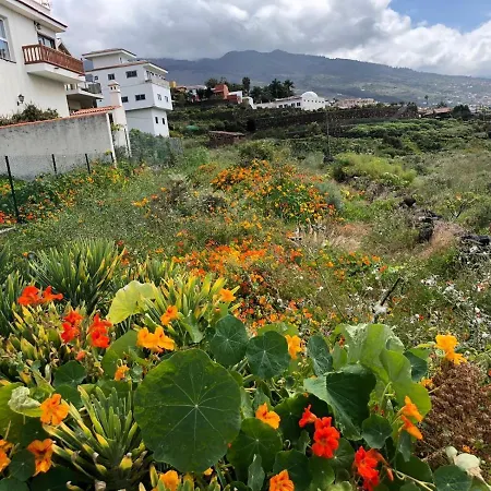 Residencia Organos Puerto de la Cruz (Tenerife)